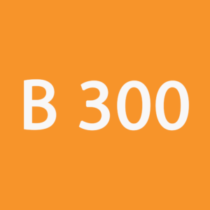B-300